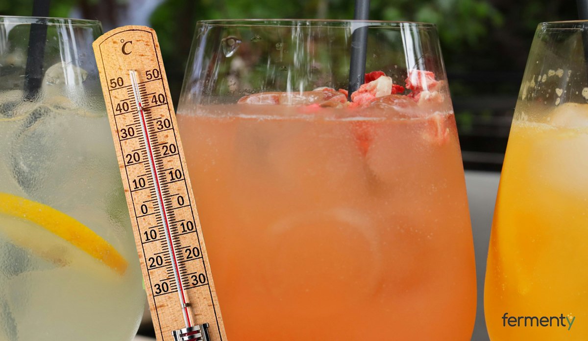 Tu kombucha no va más rápida en agosto: va con menos margen