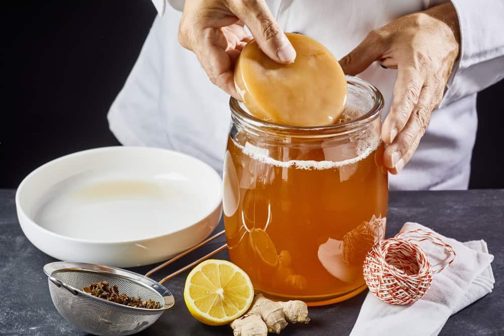 Tu primer lote de kombucha en casa: guía paso a paso