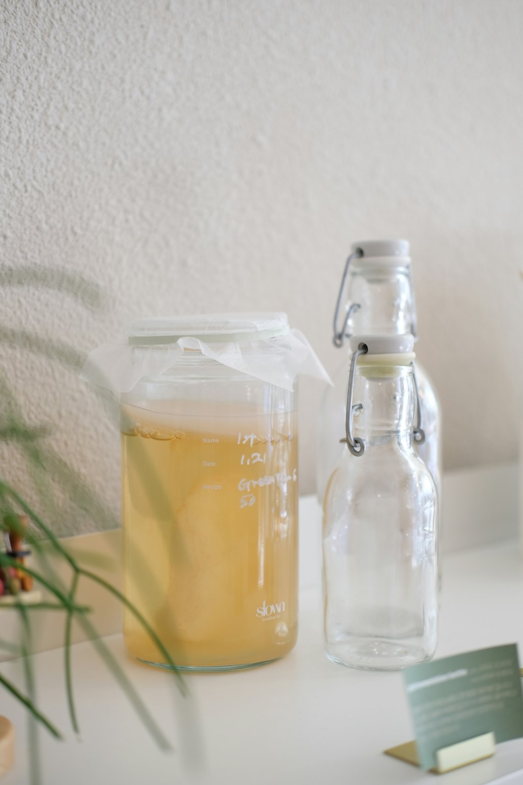 Filtré mi kombucha y se quedó sin gas