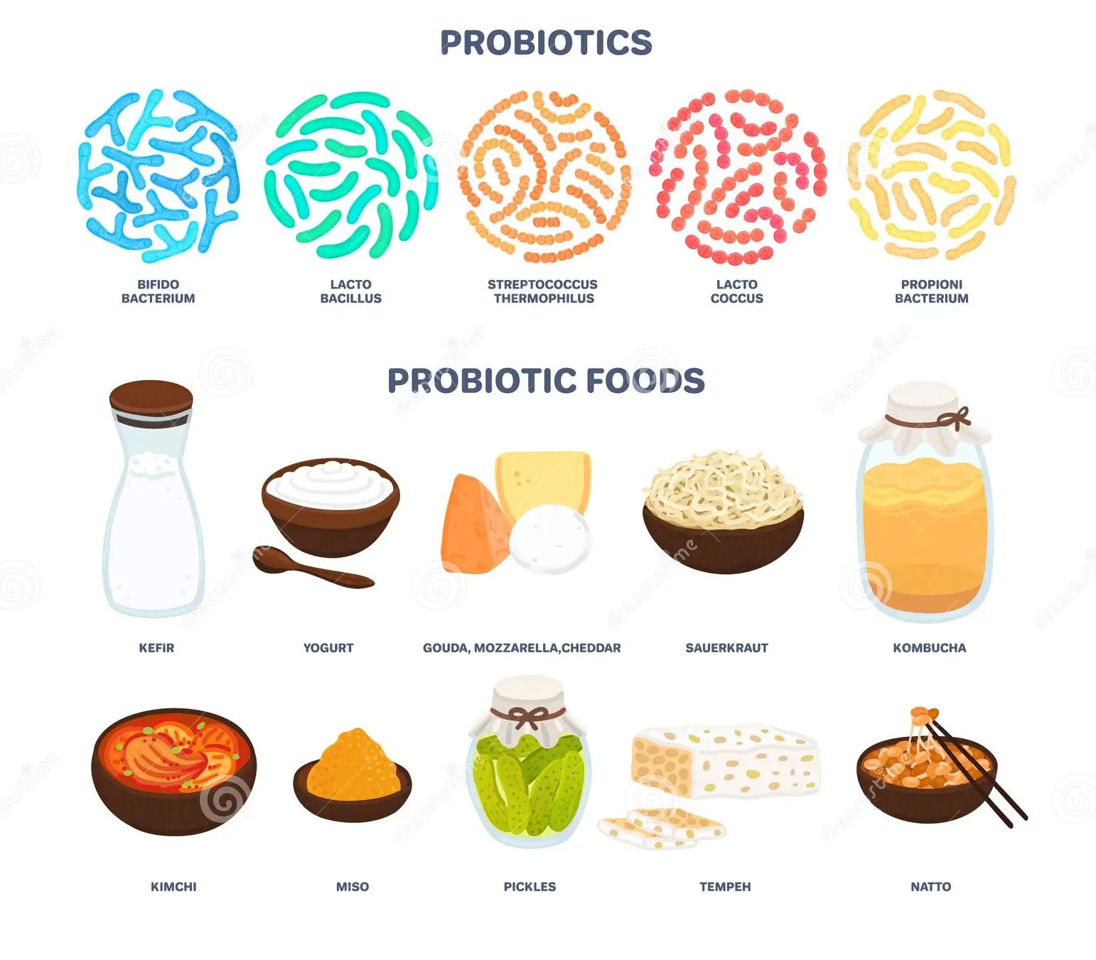 Microbiota intestinal: lo que la ciencia dice de los fermentados