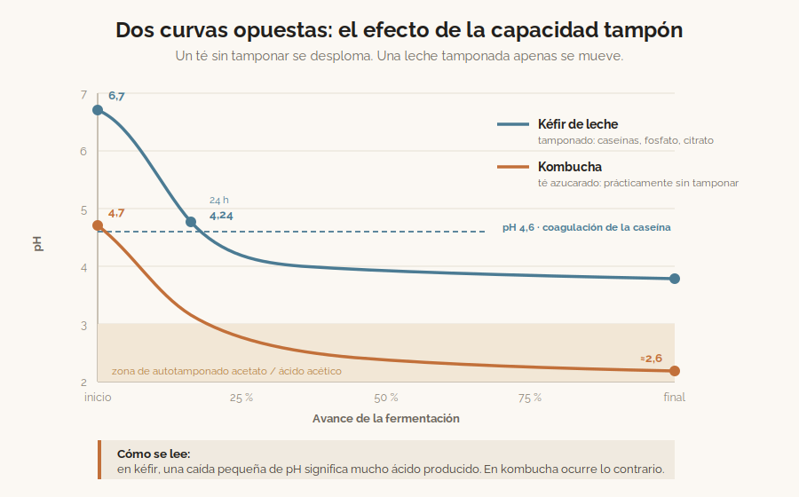 Curvas de descenso del pH en kombucha y en kéfir de leche a lo largo de la fermentación