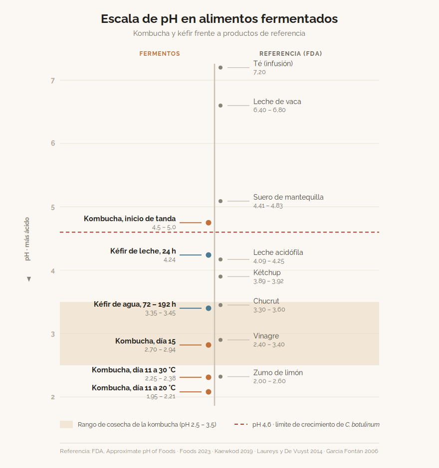Escala de pH con la posición de kombucha, kéfir de agua, kéfir de leche y alimentos de referencia