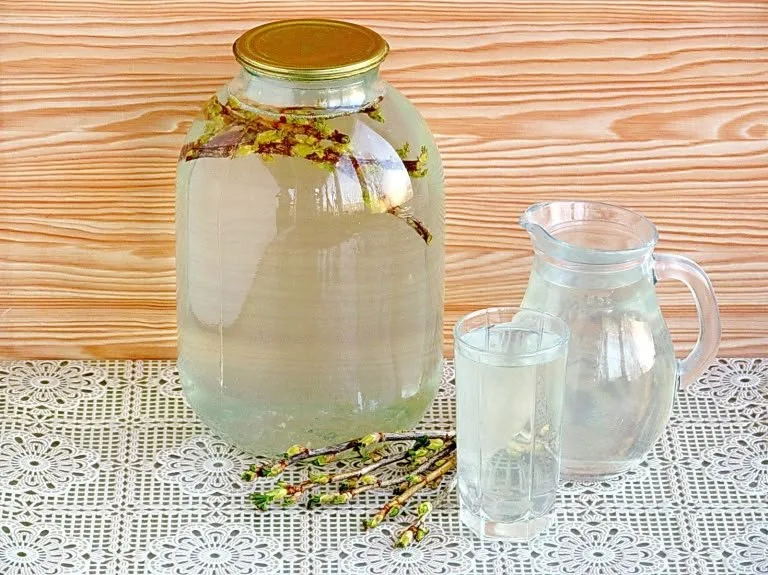 Kefir de agua