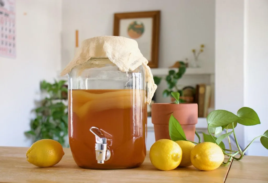 Kombucha