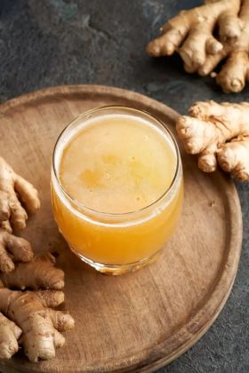 Ginger Bug